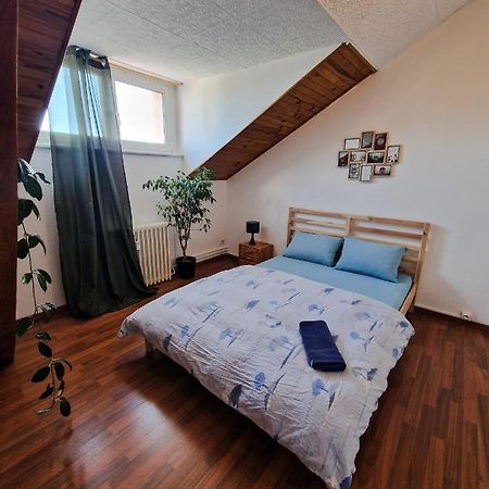 Nice Room 4 Minutes From Basel Shared Apartment Saint-Louis  Zewnętrze zdjęcie
