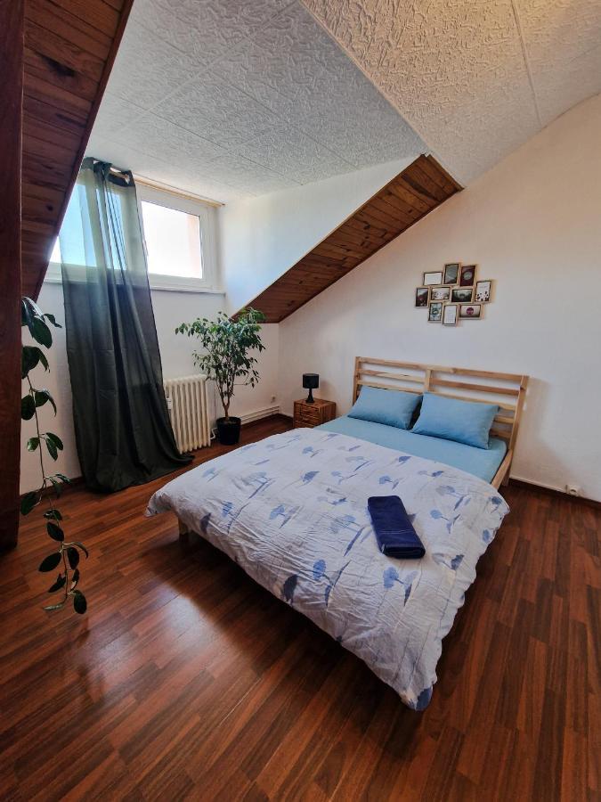 Nice Room 4 Minutes From Basel Shared Apartment Saint-Louis  Zewnętrze zdjęcie