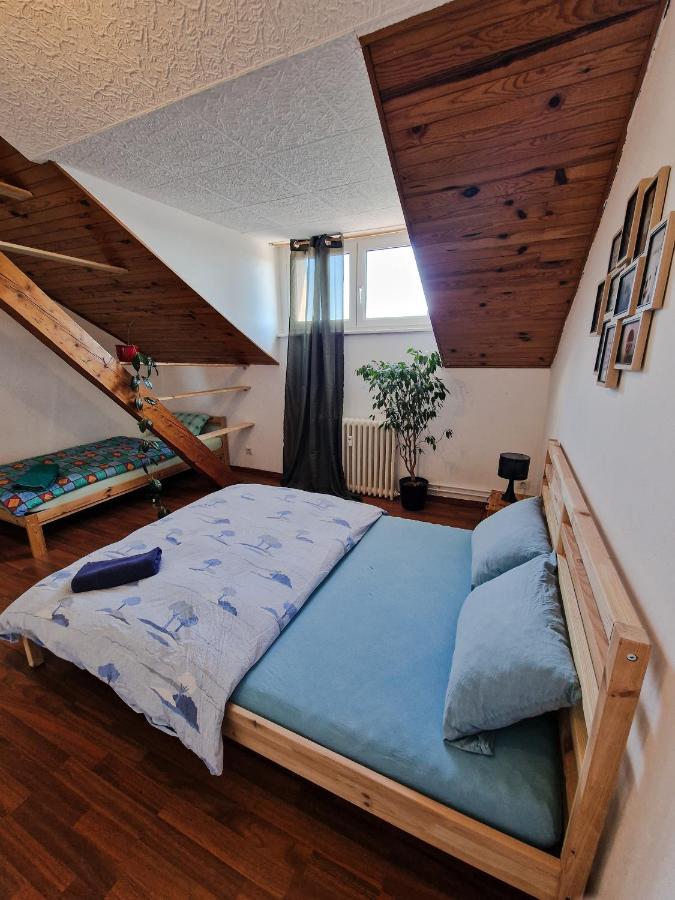 Nice Room 4 Minutes From Basel Shared Apartment Saint-Louis  Zewnętrze zdjęcie