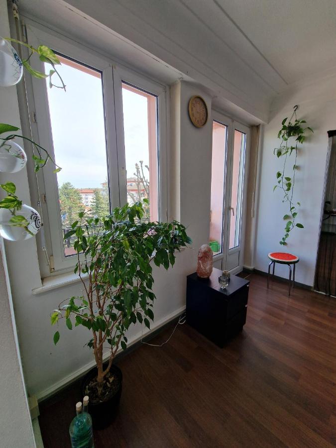 Nice Room 4 Minutes From Basel Shared Apartment Saint-Louis  Zewnętrze zdjęcie